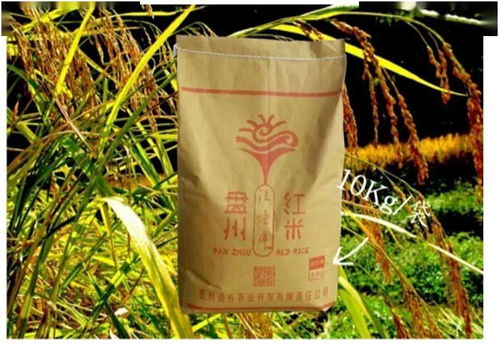 盤州農(nóng)副產(chǎn)品，碼上買，便捷直達(dá)餐桌