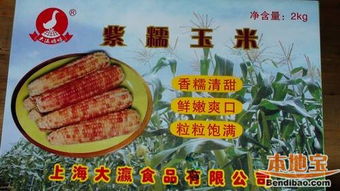舌尖上的甜蜜——探秘大團(tuán)桃園特產(chǎn)與農(nóng)副產(chǎn)品的生態(tài)之旅